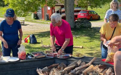 Lyckat kollo för årsrika